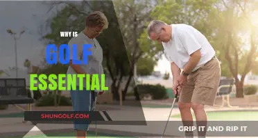 Why Golf is Essential: Unlocking Physical, Mental, and Social Benefits