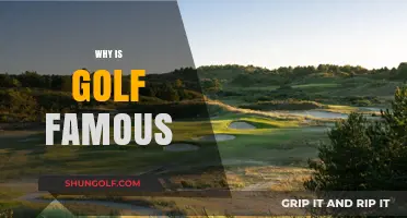 Why Golf Captivates Millions: Exploring Its Global Fame and Appeal