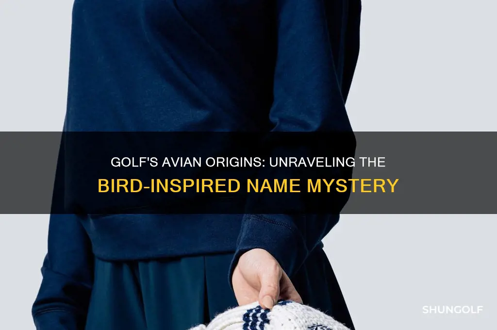 why is golf named after birds