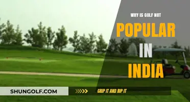 Why Golf Struggles to Gain Popularity in India: Key Factors