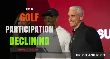 Declining Golf Participation: Uncovering Reasons Behind the Sport's Shrinking Appeal