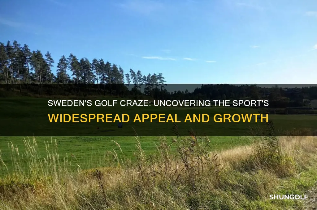 why is golf so popular in sweden