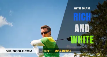 Golf's Elite Image: Unpacking the Sport's Wealth and Racial Dynamics