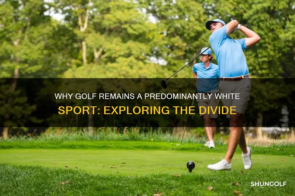 why is golf so white