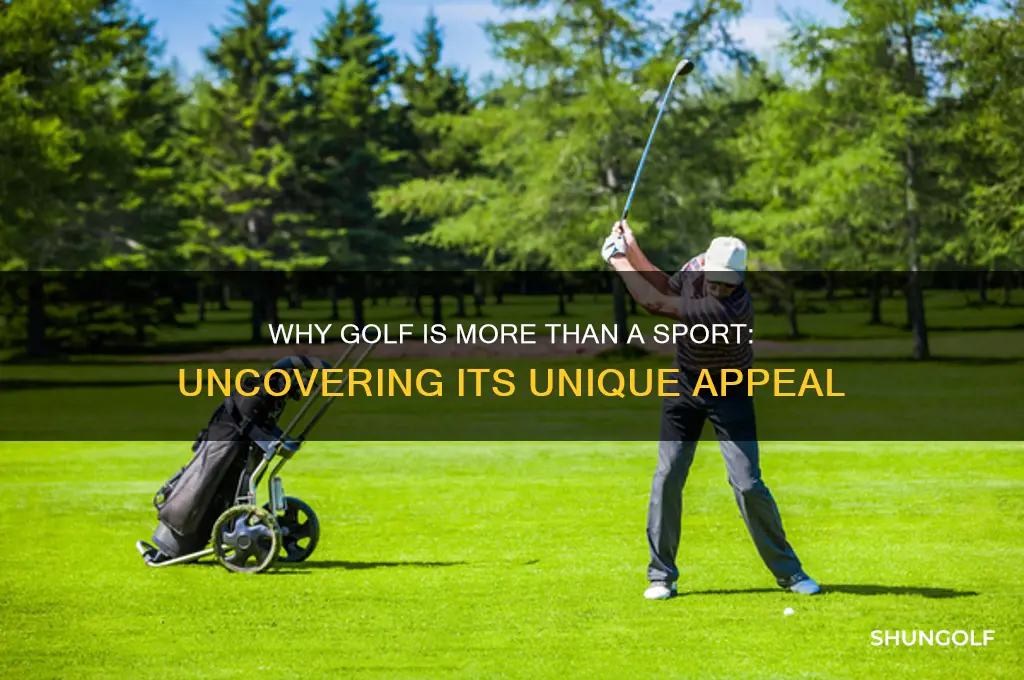why is golf sport