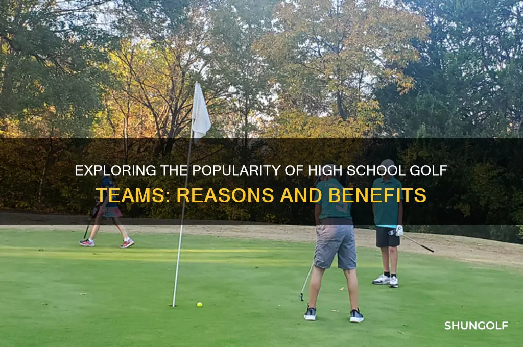 why is golf team high school