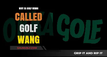Why Golf Wang? Unraveling the Story Behind Tyler, the Creator's Brand