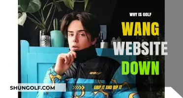 Golf Wang Website Down: Reasons Behind the Unexpected Outage