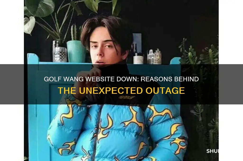why is golf wang website down