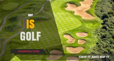 Why Golf Captivates: Uncovering the Sport's Timeless Appeal and Benefits