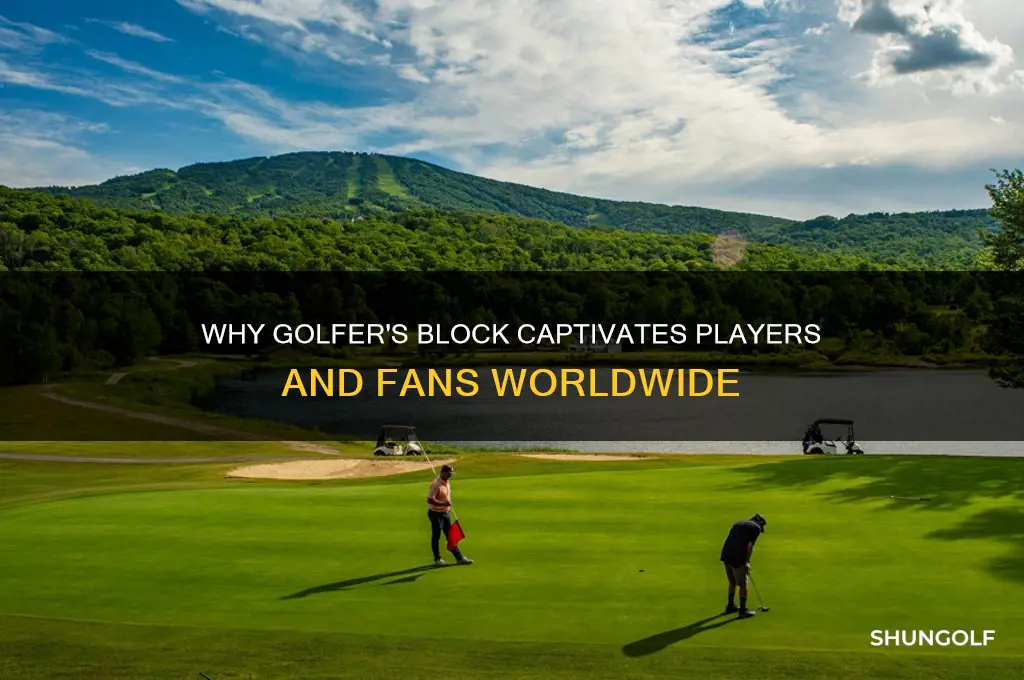 why is golfer block so popular