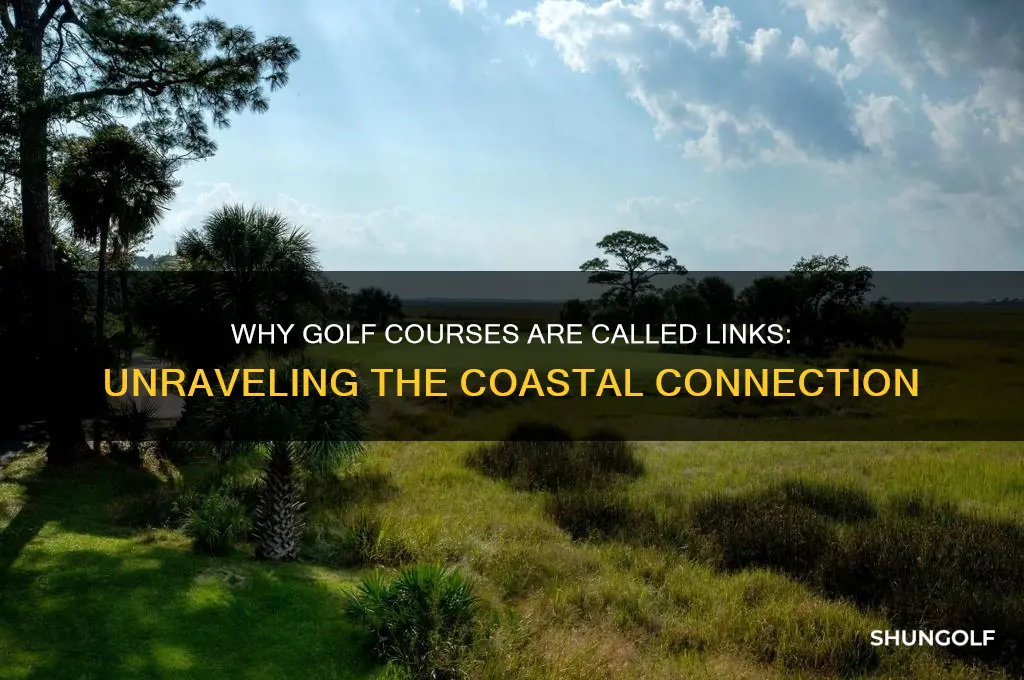 why is golfing called links