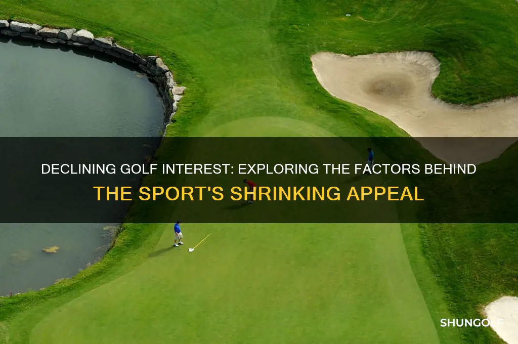 why is golfing dwindling
