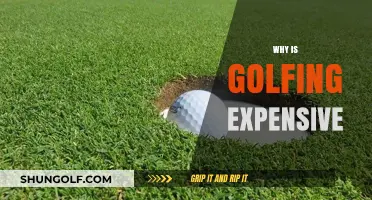 The High Cost of Golfing: Uncovering the Expensive Reality