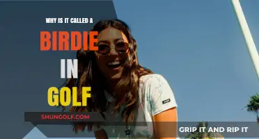 Why Golfers Call It a Birdie: The Surprising Origin Story