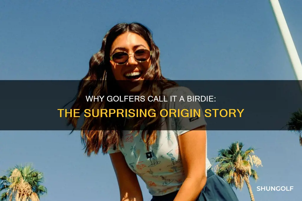 why is it called a birdie in golf