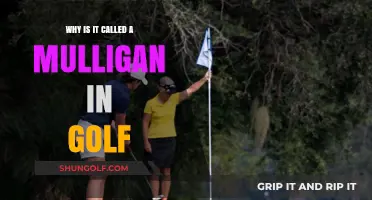 The Origins of Mulligan: Unraveling Golf's Second Chance Mystery