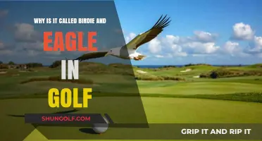 Birdie and Eagle: Unraveling Golf's Unique Scoring Terminology Origins