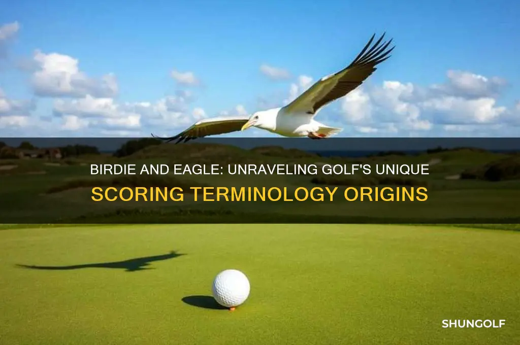 why is it called birdie and eagle in golf