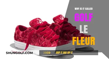 Why Golf le Fleur? Unraveling Tyler, the Creator's Brand Name