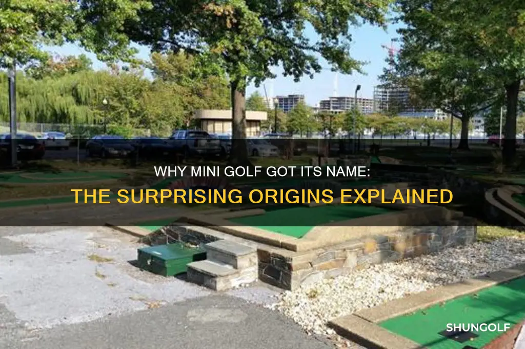 why is it called mini golf