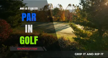 Understanding Par in Golf: Origins, Meaning, and Scoring Basics