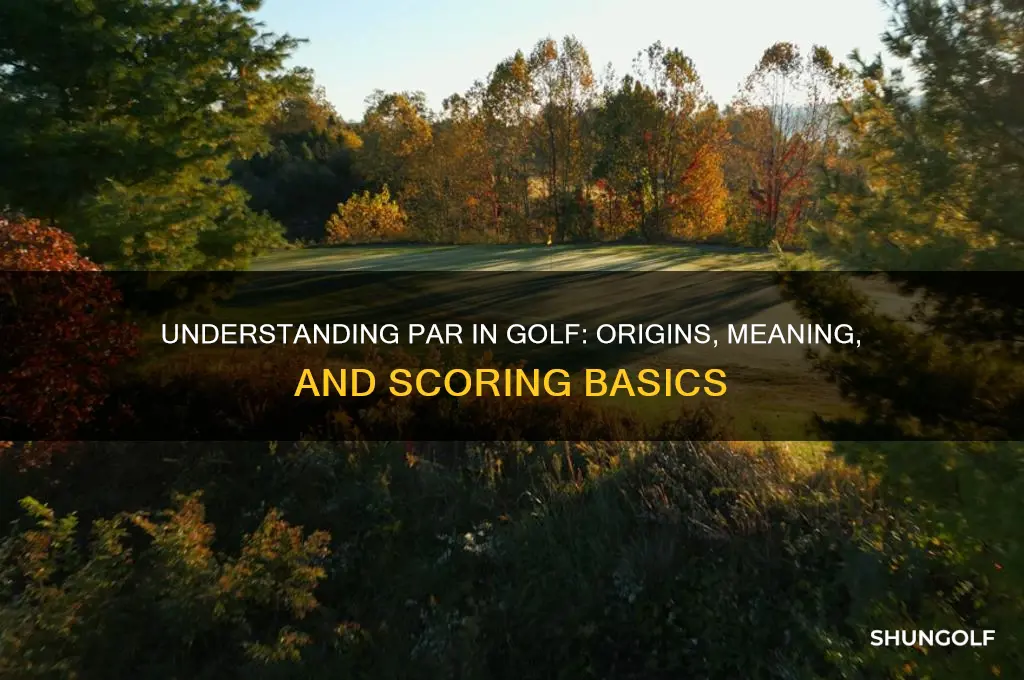 why is it called par in golf