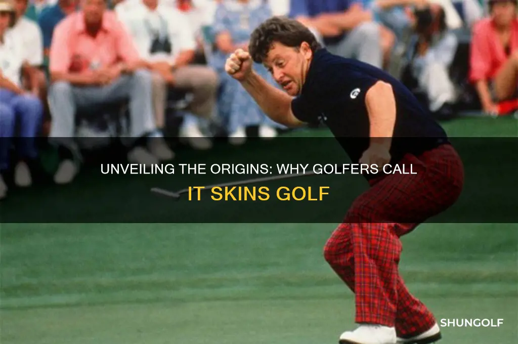 why is it called skins golf