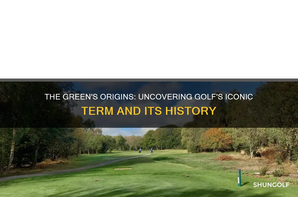why is it called the green in golf