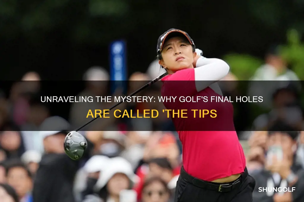 why is it called the tips in golf