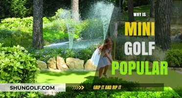 Mini Golf's Enduring Appeal: Fun, Accessibility, and Social Bonding Explained