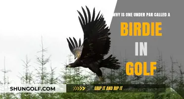 Why Golfers Call One Under Par a Birdie: Origins Explained