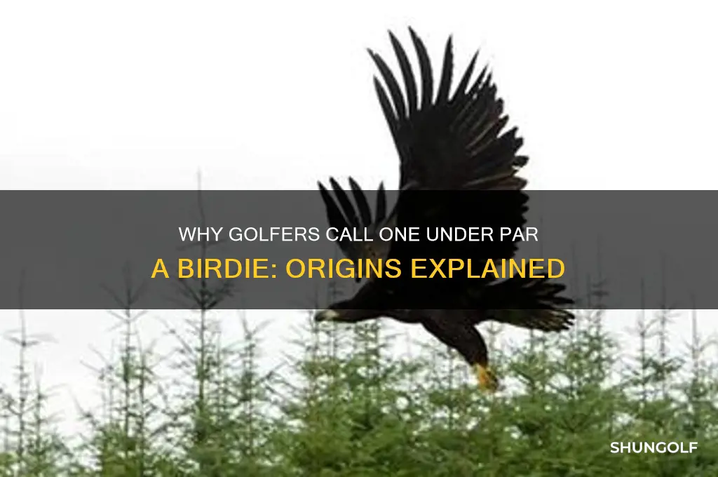 why is one under par called a birdie in golf