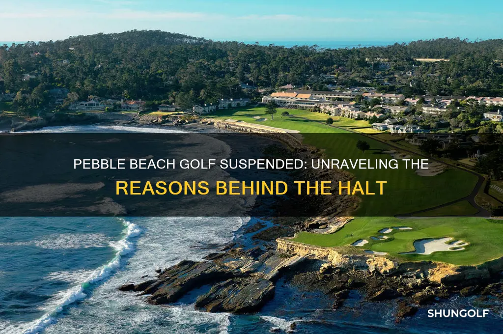 why is pebble beach golf suspended