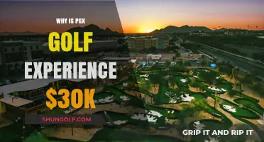 Why PGX Golf Experience Costs $30K: Unveiling the Premium Value