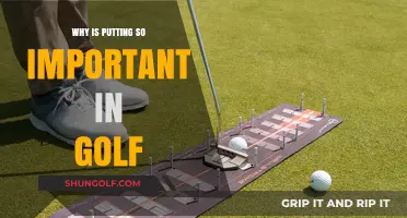 Mastering the Greens: Why Putting Holds the Key to Golf Success