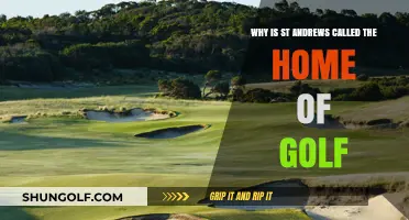 St Andrews: The Historic Birthplace and Home of Golf