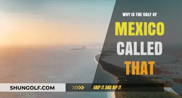 The Origin of the Gulf of Mexico's Name: A Historical Exploration
