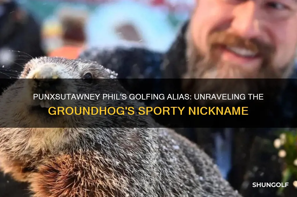 why is the golfer named punxtawny phil