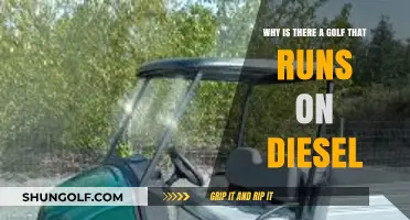 Diesel-Powered Golf Carts: Unveiling the Eco-Friendly Innovation on the Greens