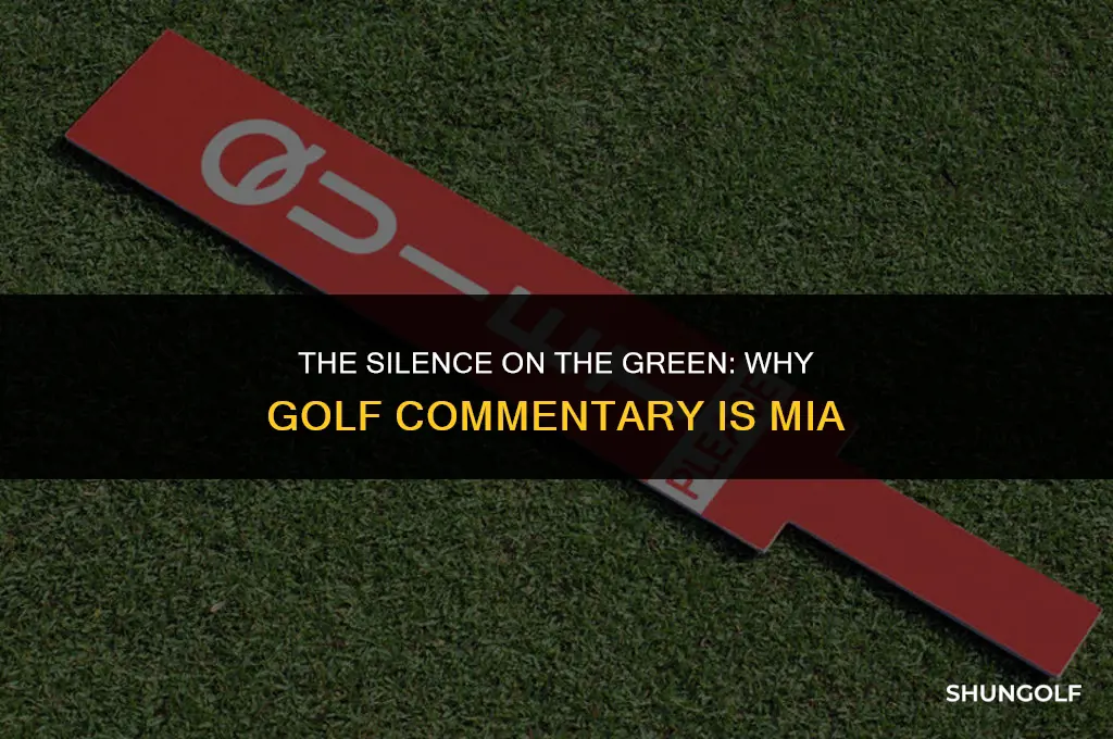 why is there no commentary on the golf channel