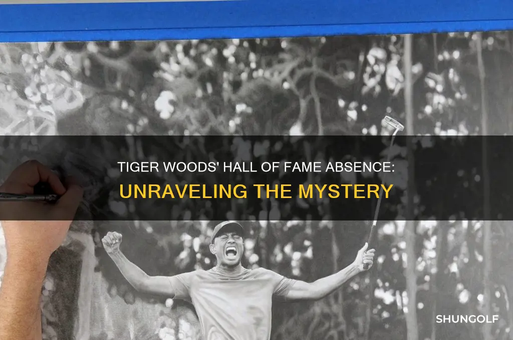 why is tiger woods not in golf hall of fame