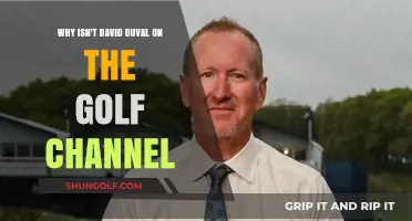 Exploring David Duval's Absence from The Golf Channel