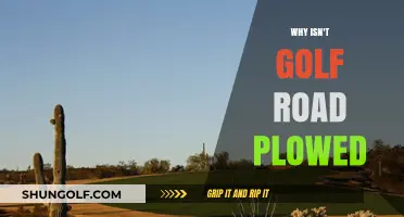 Why Golf Road Remains Unplowed: Uncovering the Reasons Behind the Neglect