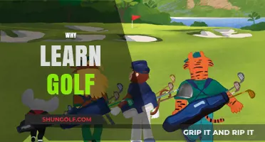 Discover the Surprising Benefits of Learning Golf Today