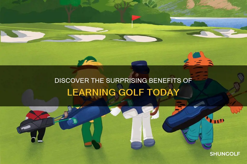 why learn golf