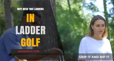 Double the Ladders, Double the Fun: Enhancing Ladder Golf Gameplay