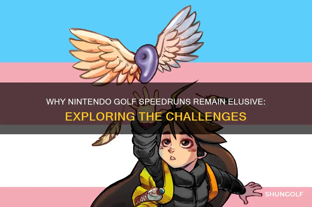 why no nintendo golf speedrun