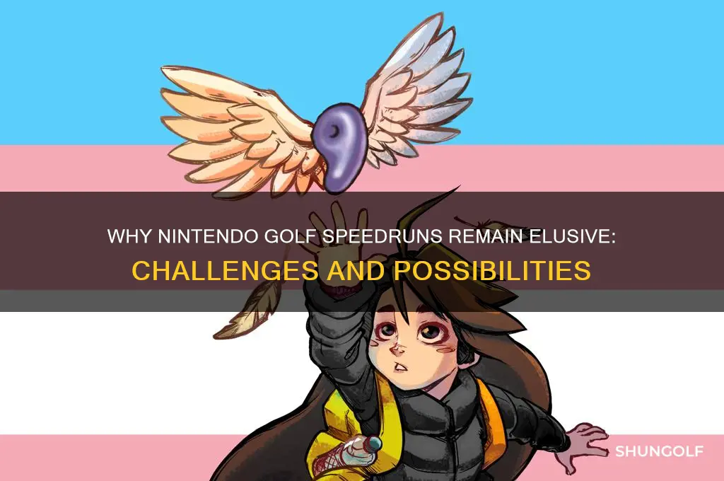 why no nintendo golf speerun
