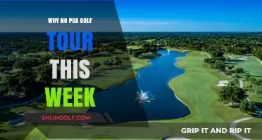 PGA Tour on Pause: Exploring the Week's Golf Hiatus